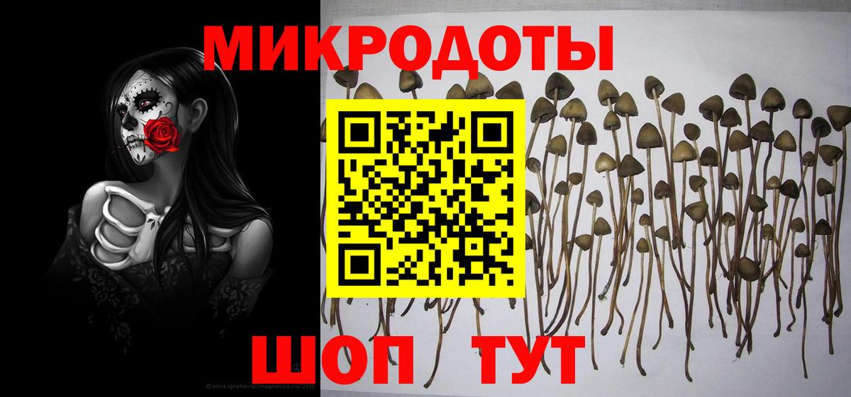 Псилоцибиновые грибы GOLDEN TEACHER Заволжье